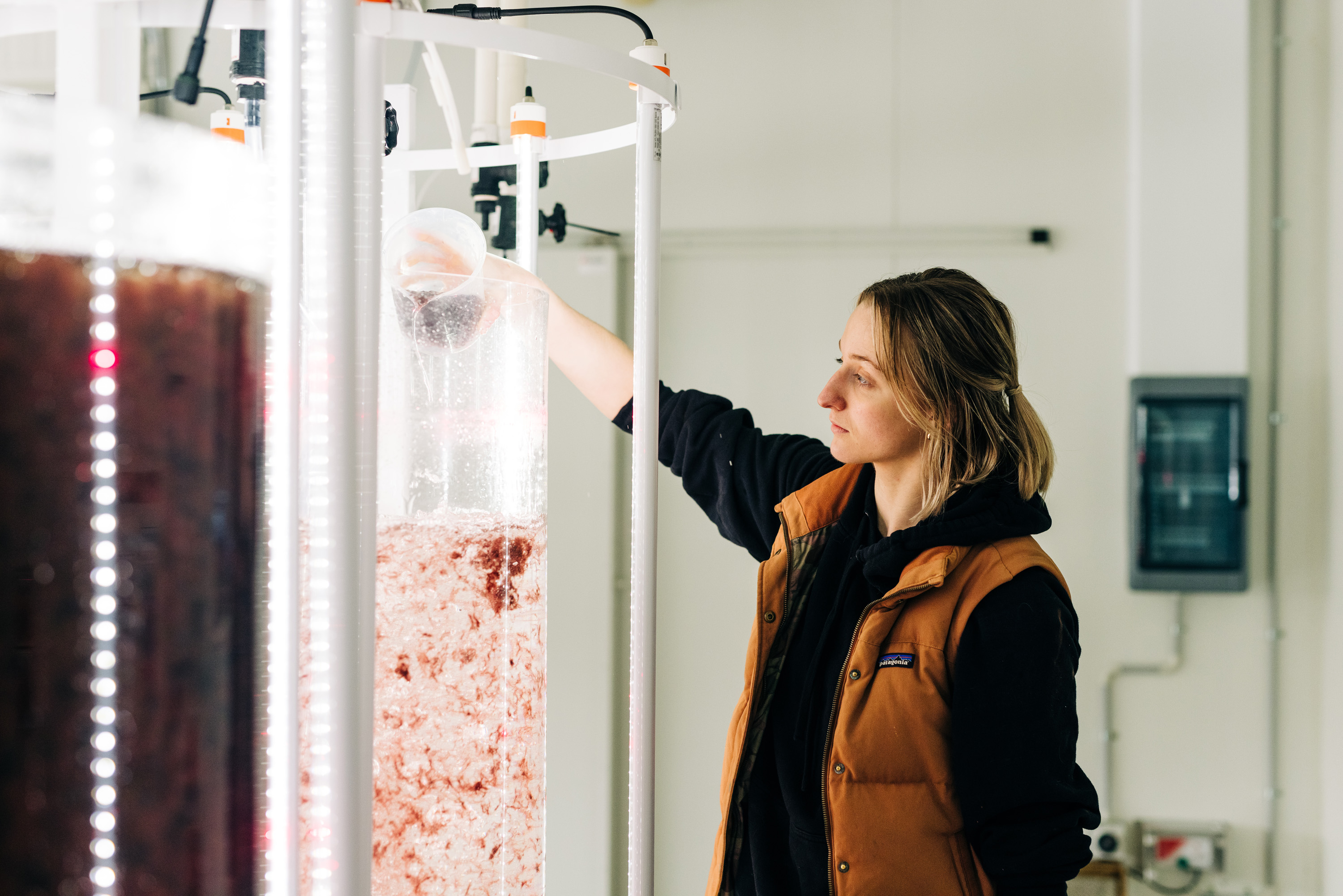 Sea Forest X 4 Pines